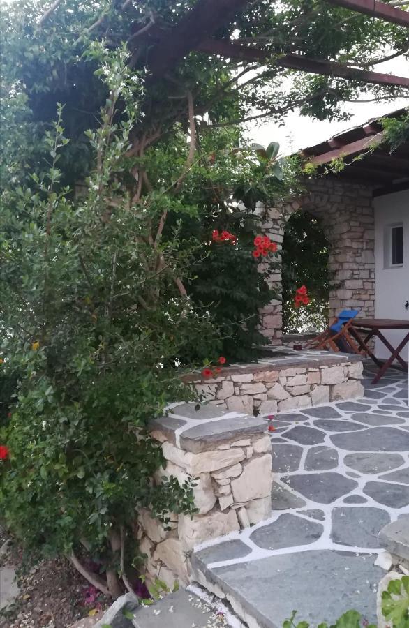 Kelly'S Διαμέρισμα Χρυσή Ακτή Εξωτερικό φωτογραφία