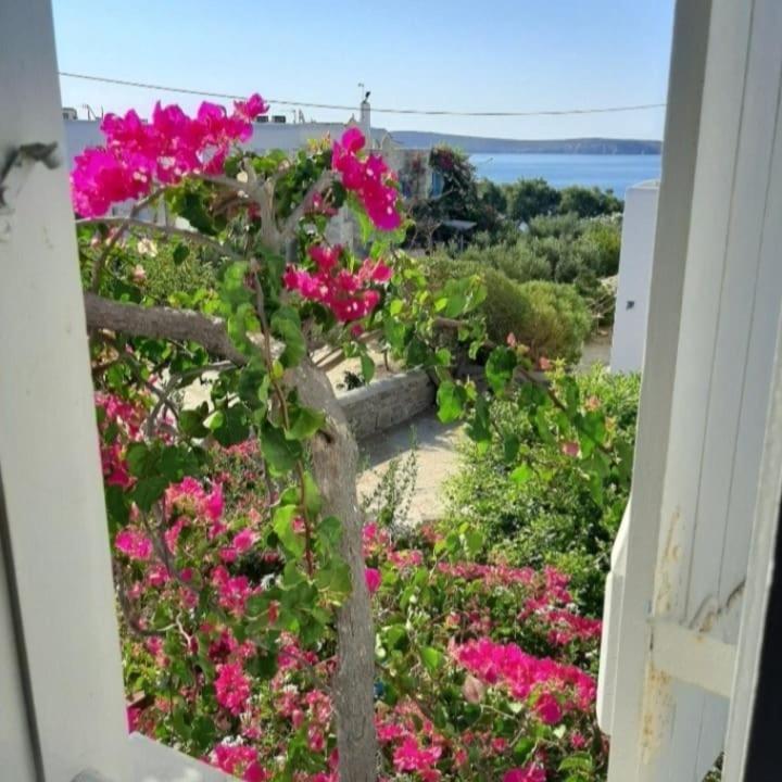 Kelly'S Διαμέρισμα Χρυσή Ακτή Εξωτερικό φωτογραφία